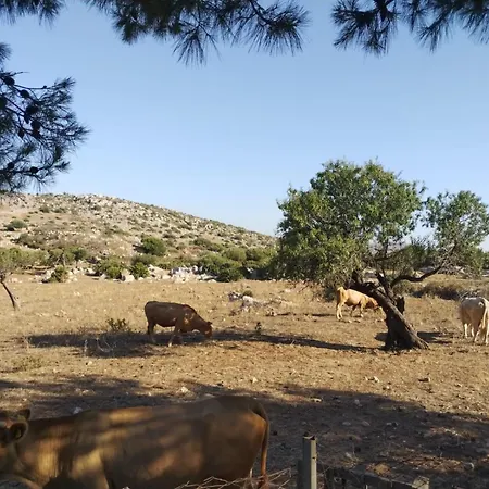 Semesterbostad Cofano Bella Vista